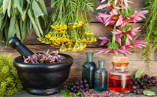 What is naturopathy? 